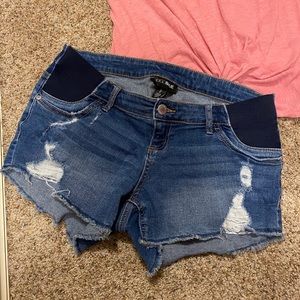 Maternity Shorts